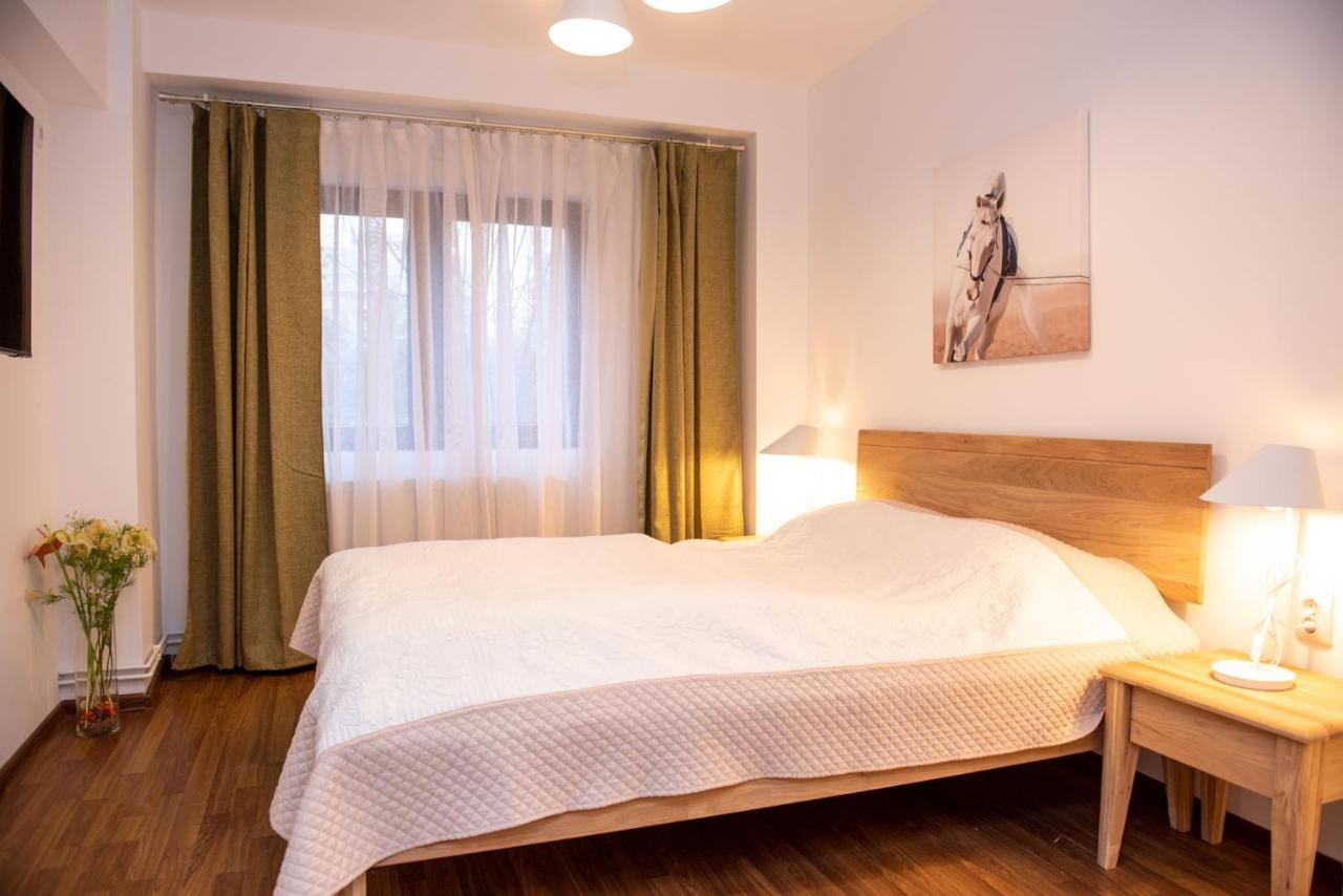 Classic Apartment Near The City Center Клуж-Напока Екстер'єр фото